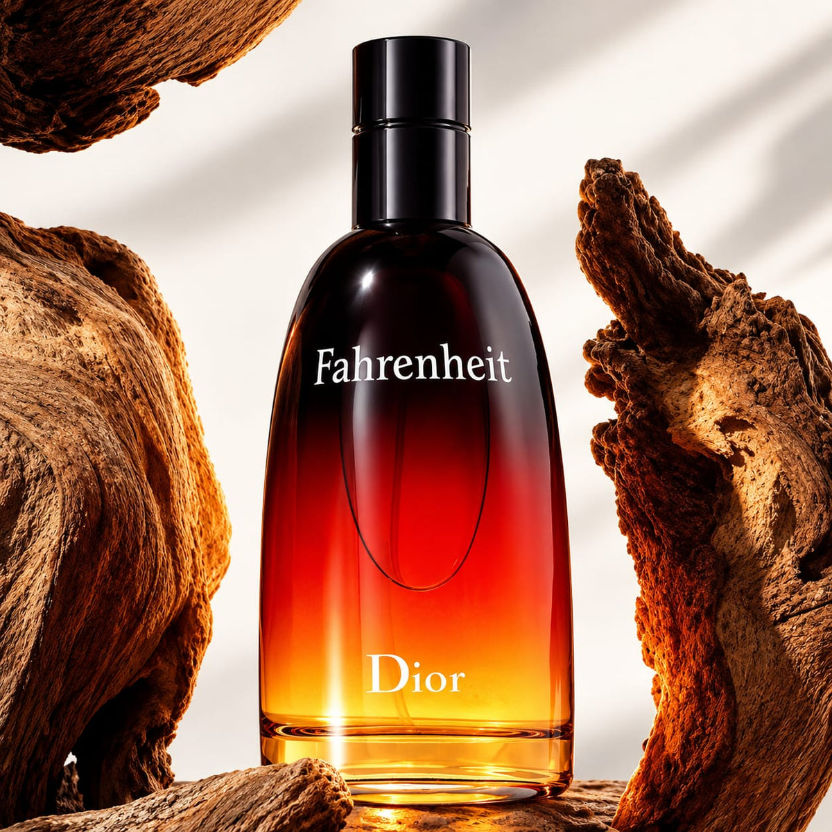 Dior Fahrenheit Eau de Toilette 100ml